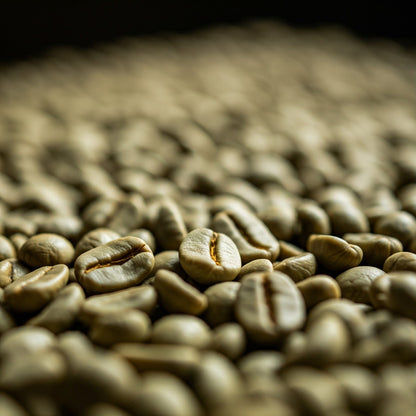 Coffee - DEER - Whole Bean Unroasted Robusta Imported from India (Green)