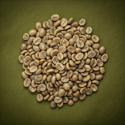 Coffee - DEER - Whole Bean Unroasted Robusta Imported from India (Green)